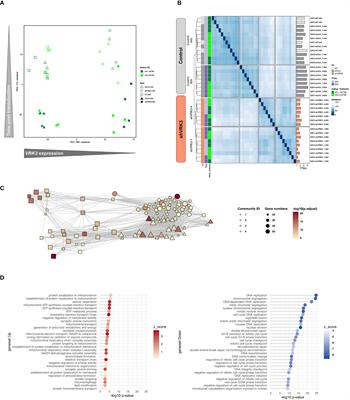VRK3 depletion induces cell cycle arrest and metabolic reprogramming of pontine diffuse midline glioma - H3K27 altered cells